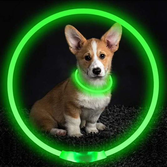 Led Glowing Dog Collar