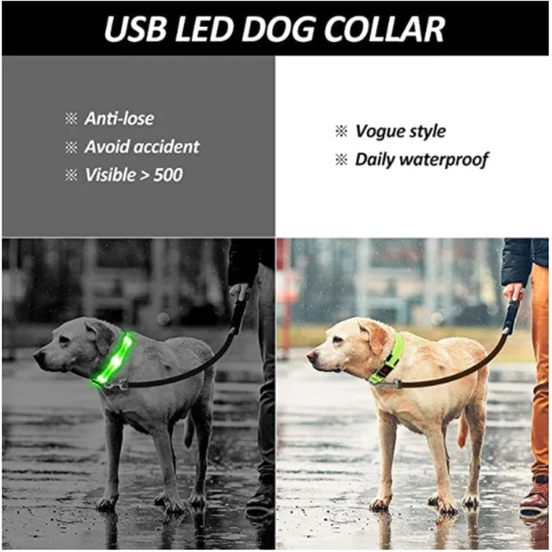 Led Glowing Dog Collar